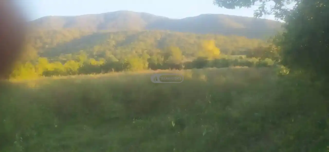 მიწის ნაკვეთი ართანაში