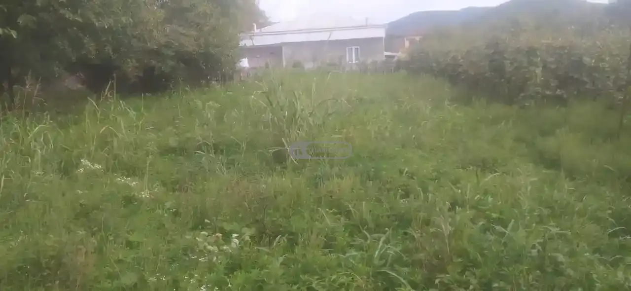 მიწის ნაკვეთი ართანაში