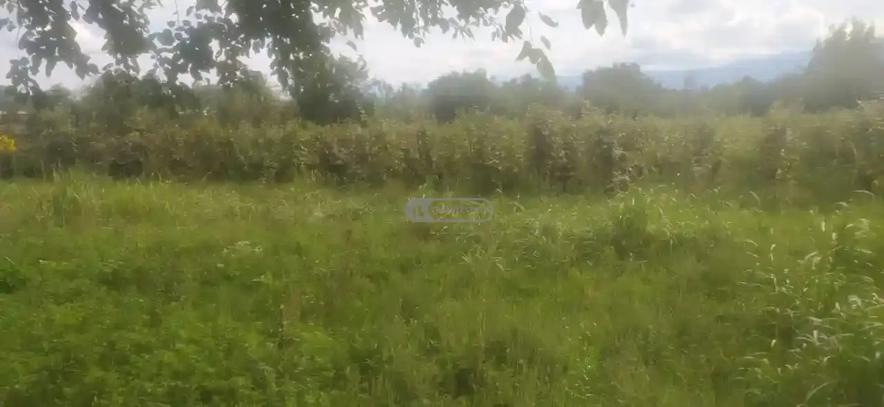 მიწის ნაკვეთი ართანაში