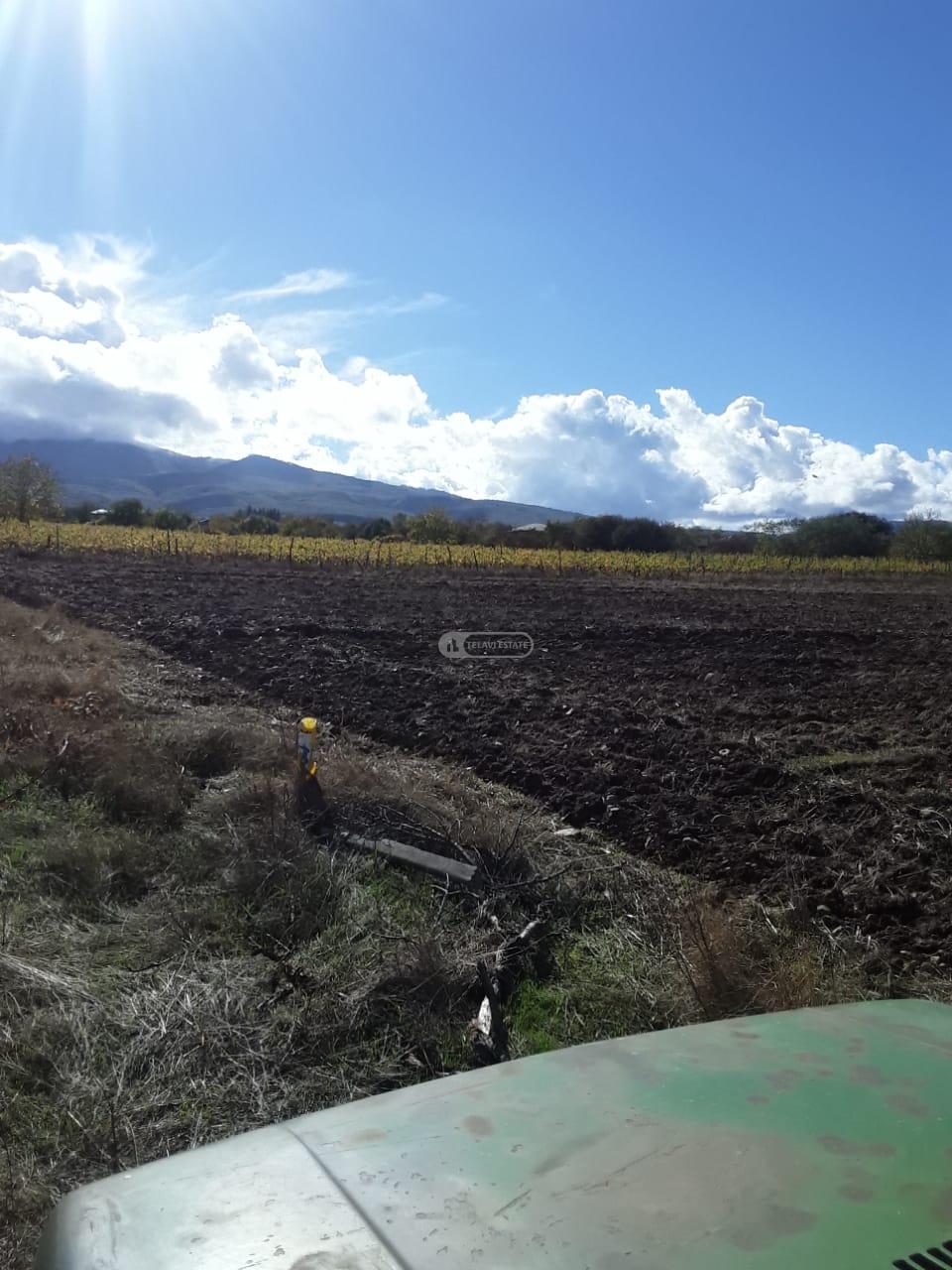 Land for Sale in Vardisubani