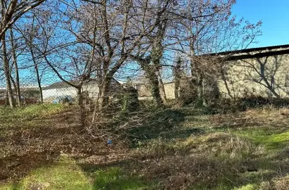 მიწის ნაკვეთი თელავში