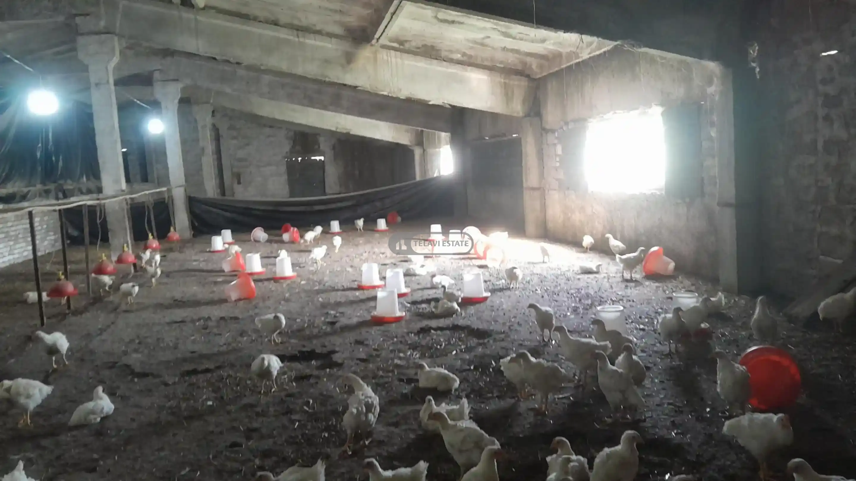 Продается ферма в Кисисхеви