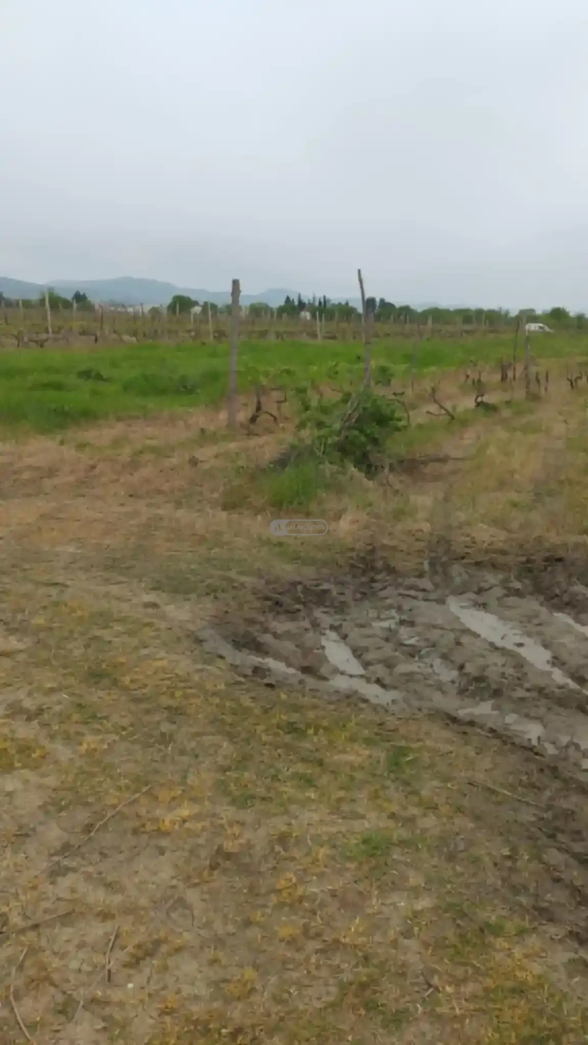 მიწის ნაკვეთი კურდღელაურში