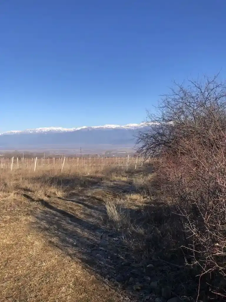 მიწის ნაკვეთი კისისხევში
