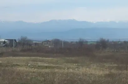 მიწის ნაკვეთი კურდღელაურში