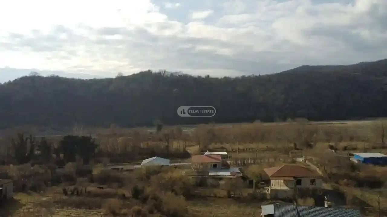 Земельный участок в Пшавели