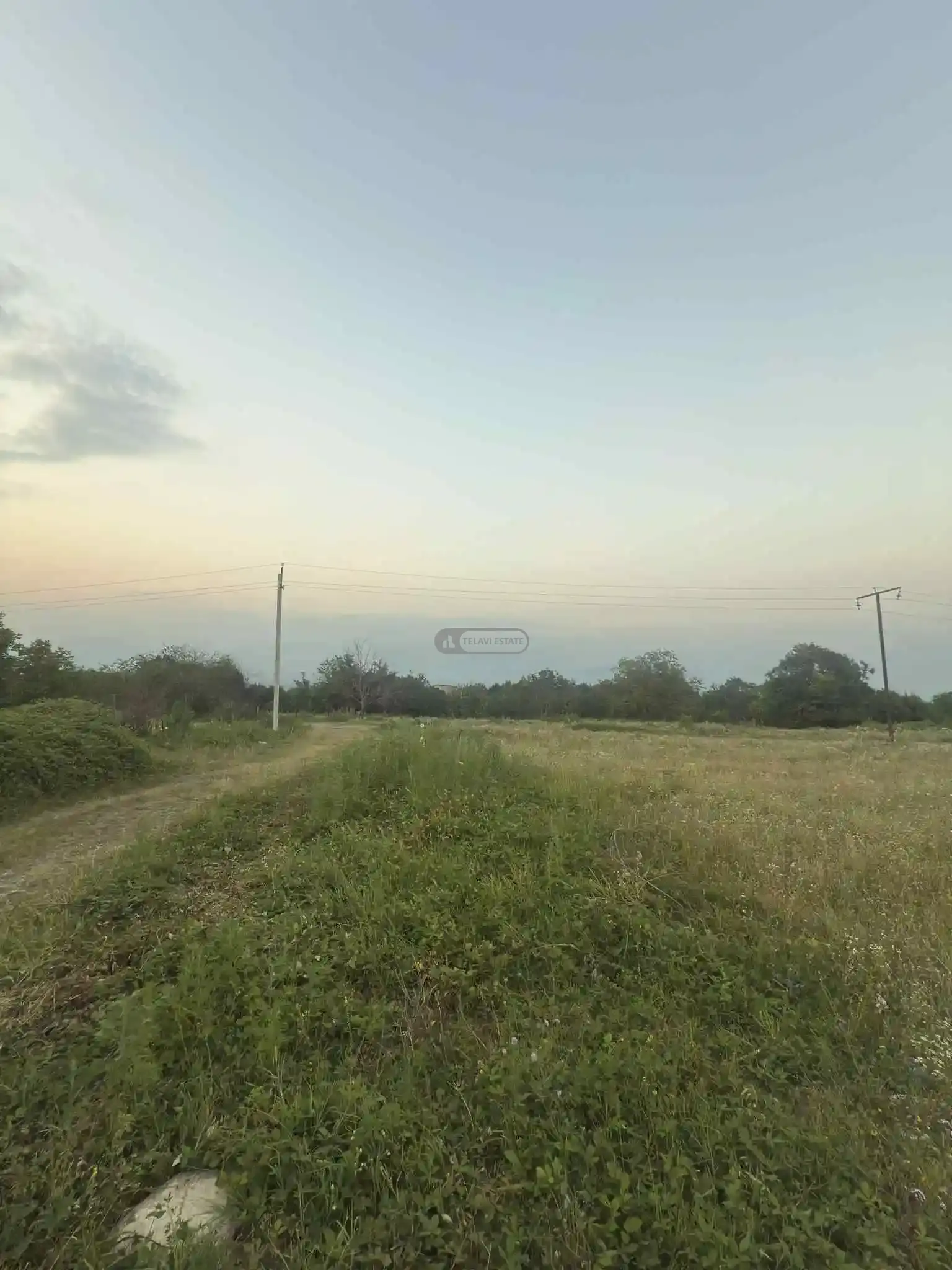 მიწის ნაკვეთი ვარდისუბანში