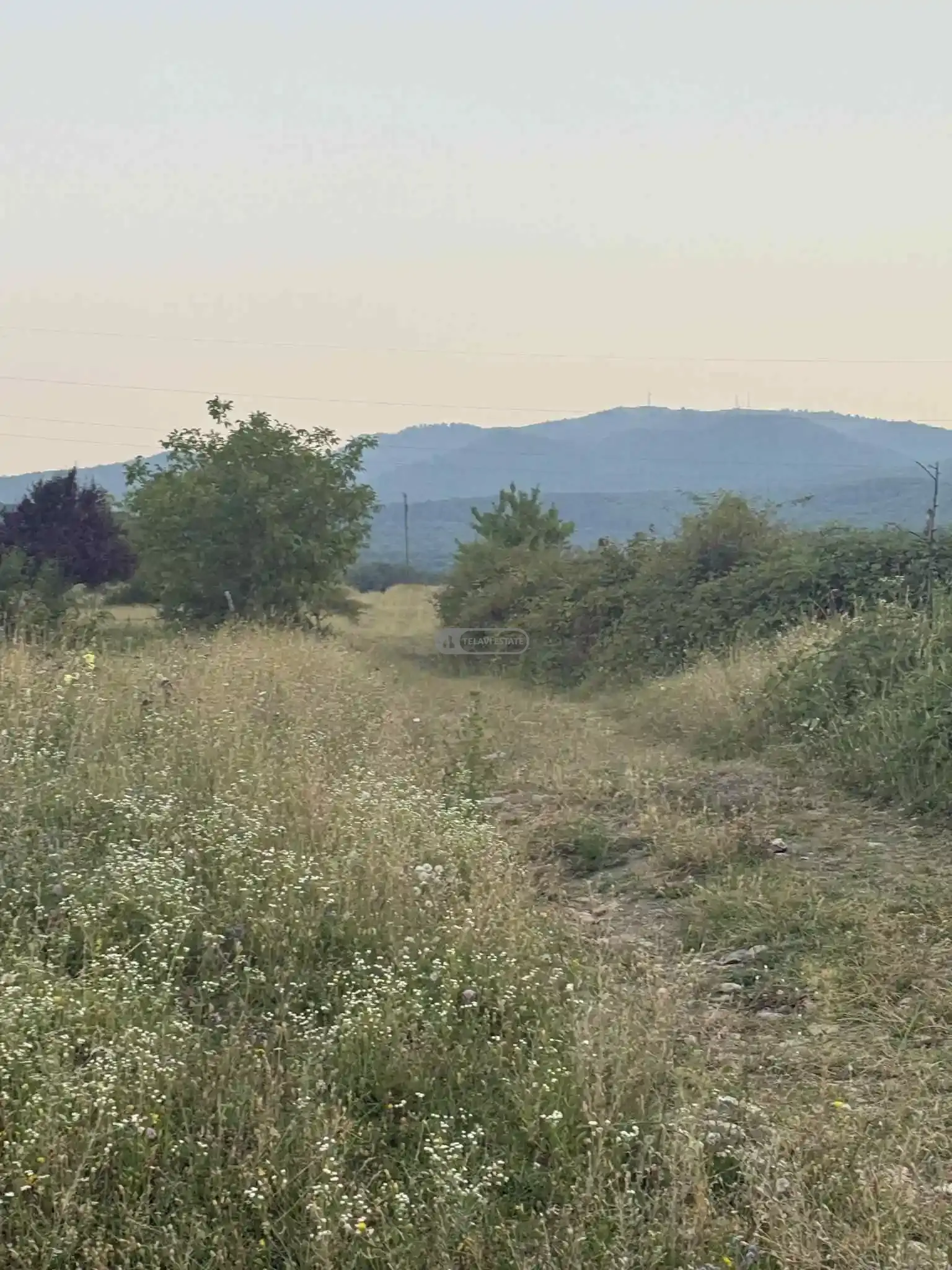 მიწის ნაკვეთი ვარდისუბანში