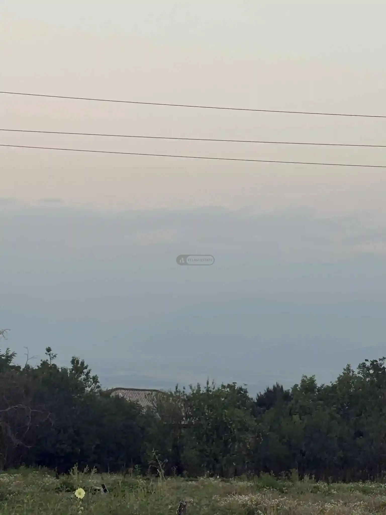 მიწის ნაკვეთი ვარდისუბანში