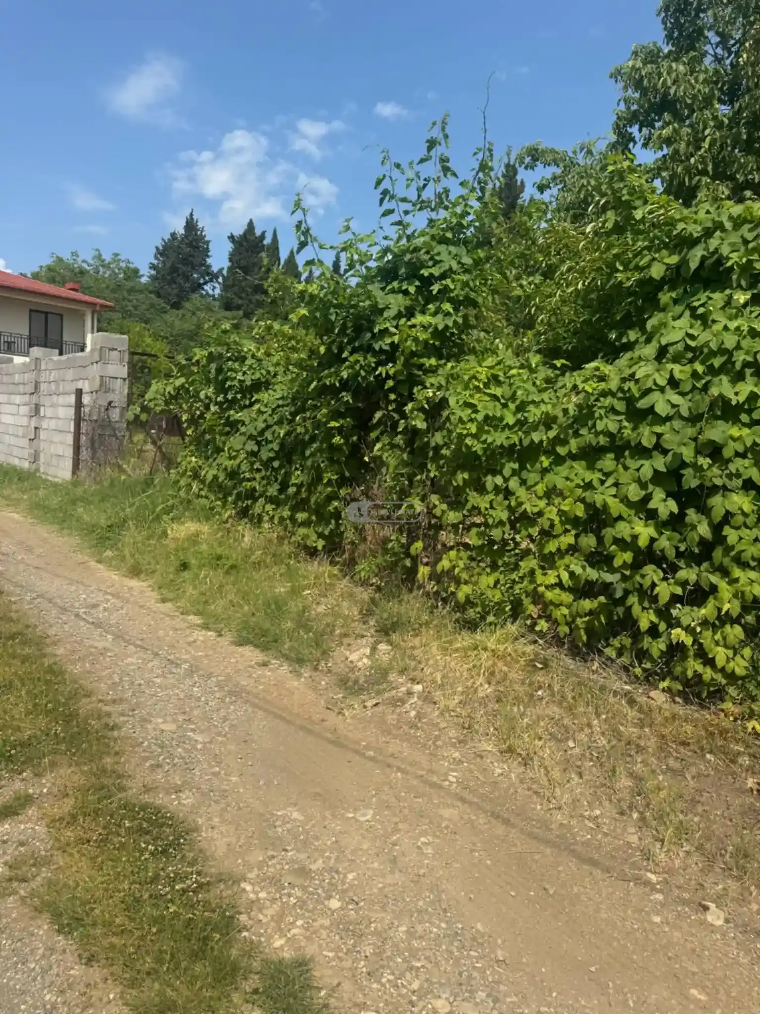 მიწის ნაკვეთი წინანდალში
