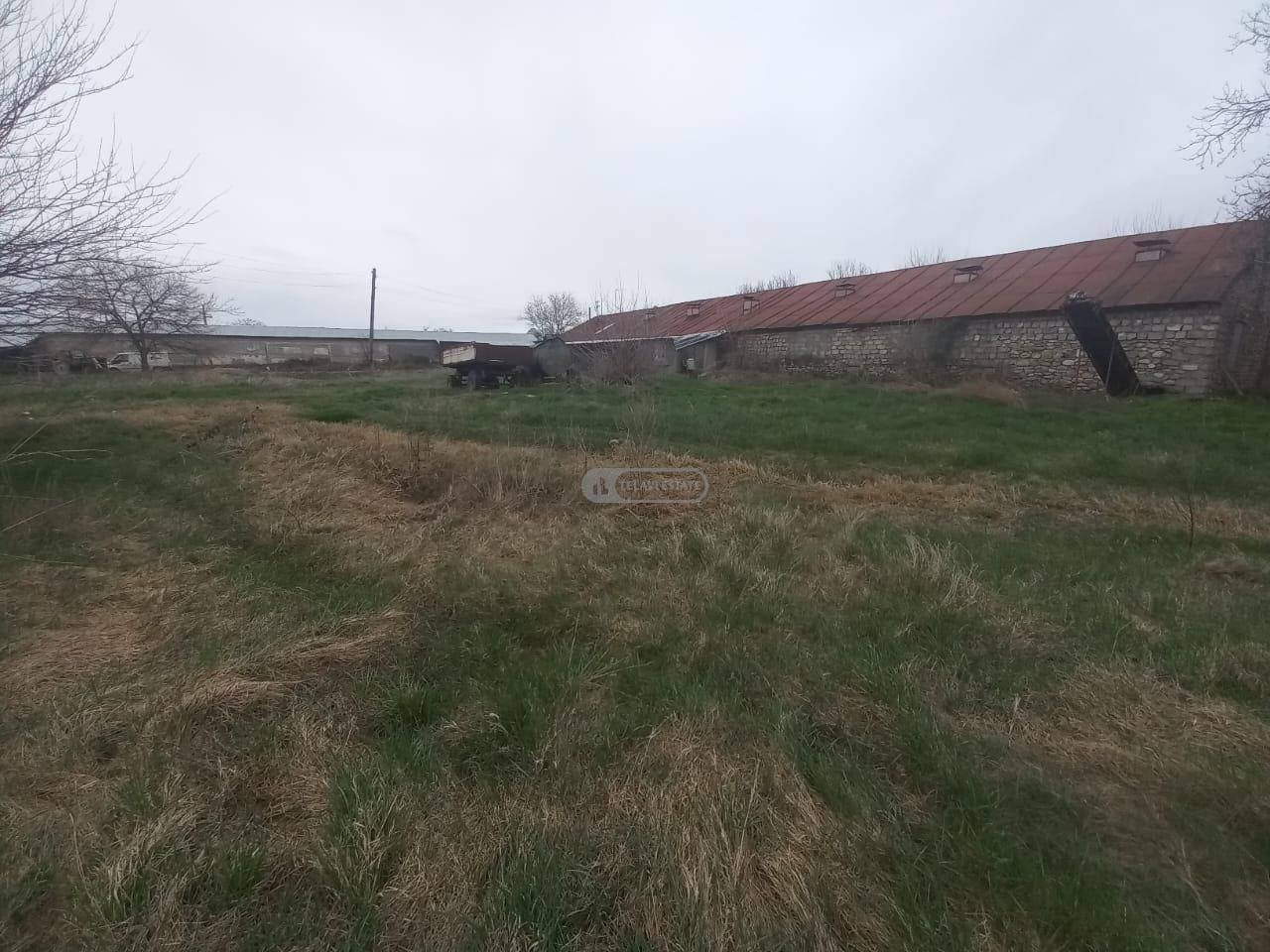 Птицефабрика с полной инфраструктурой на продажу