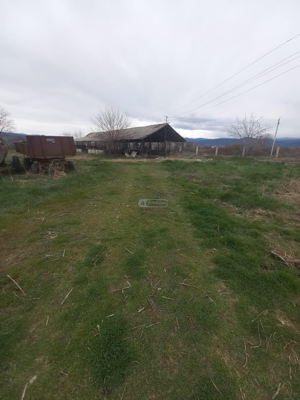 Птицефабрика с полной инфраструктурой на продажу