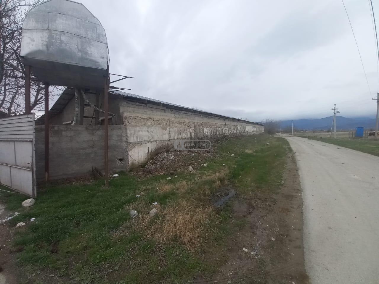 Птицефабрика с полной инфраструктурой на продажу