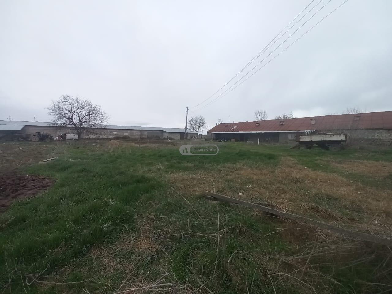 Птицефабрика с полной инфраструктурой на продажу