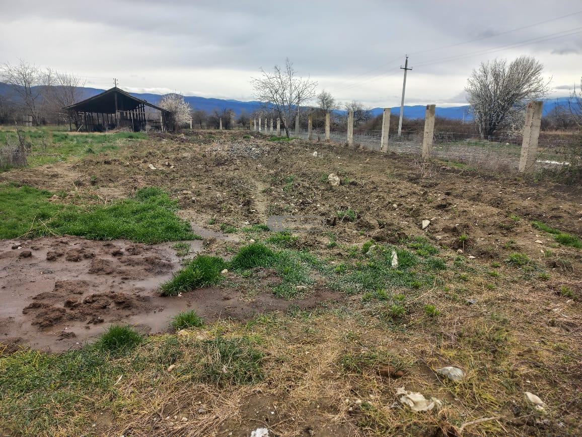 Птицефабрика с полной инфраструктурой на продажу