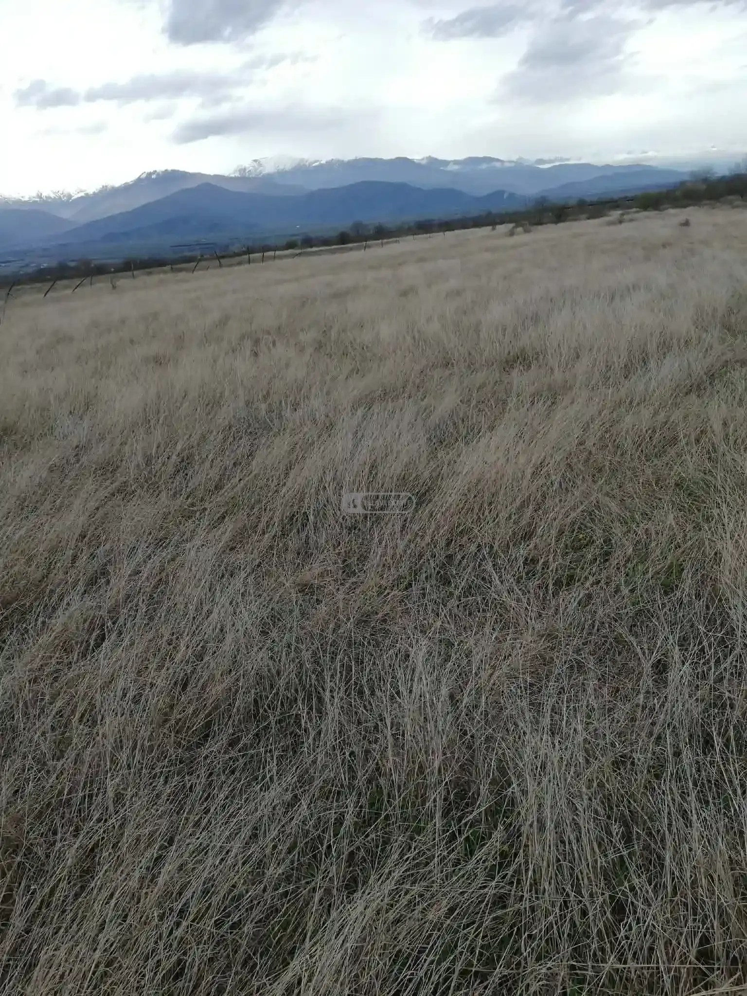 მიწის ნაკვეთი კონდოლში