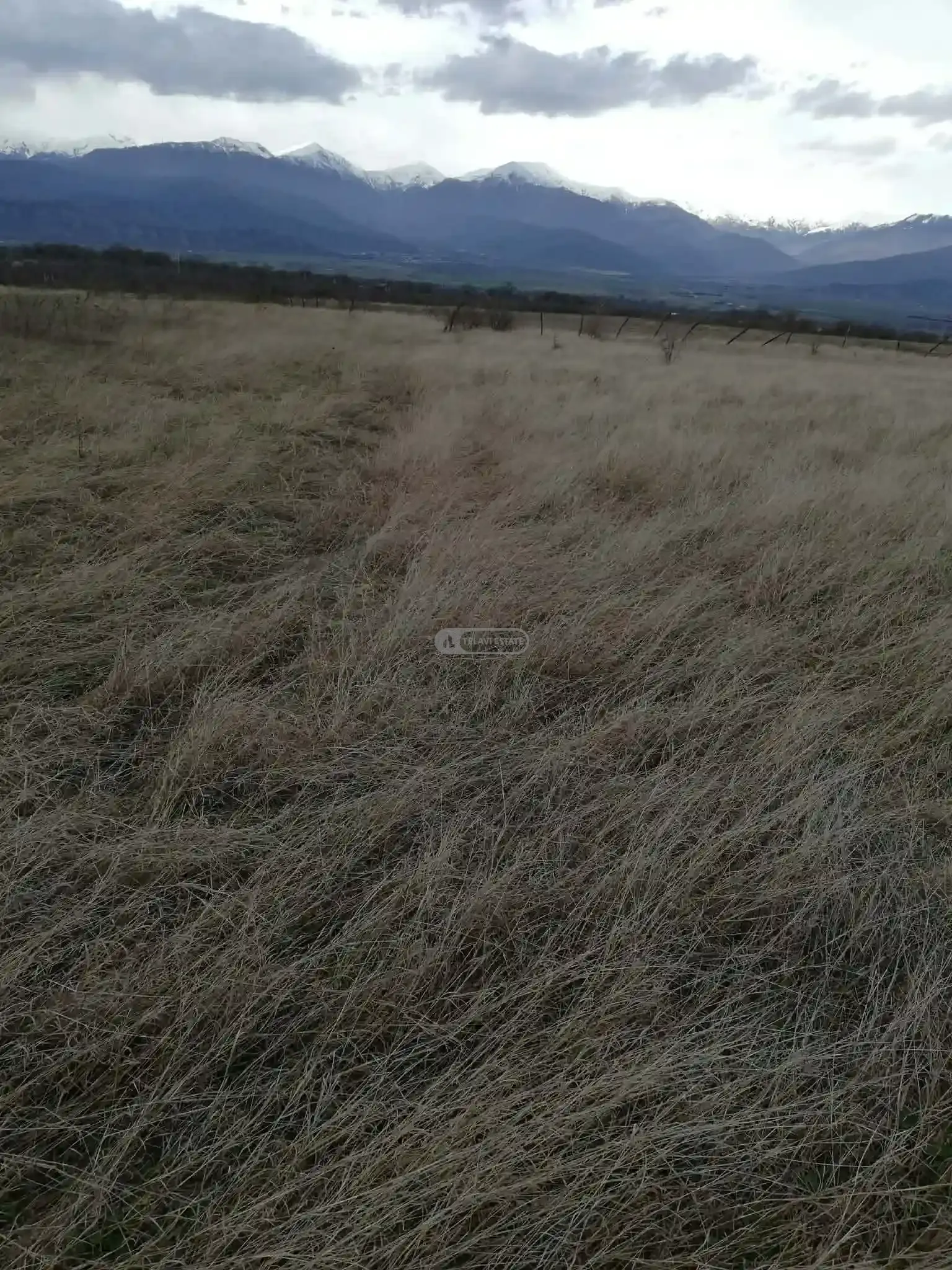 მიწის ნაკვეთი კონდოლში