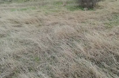 მიწის ნაკვეთი კონდოლში