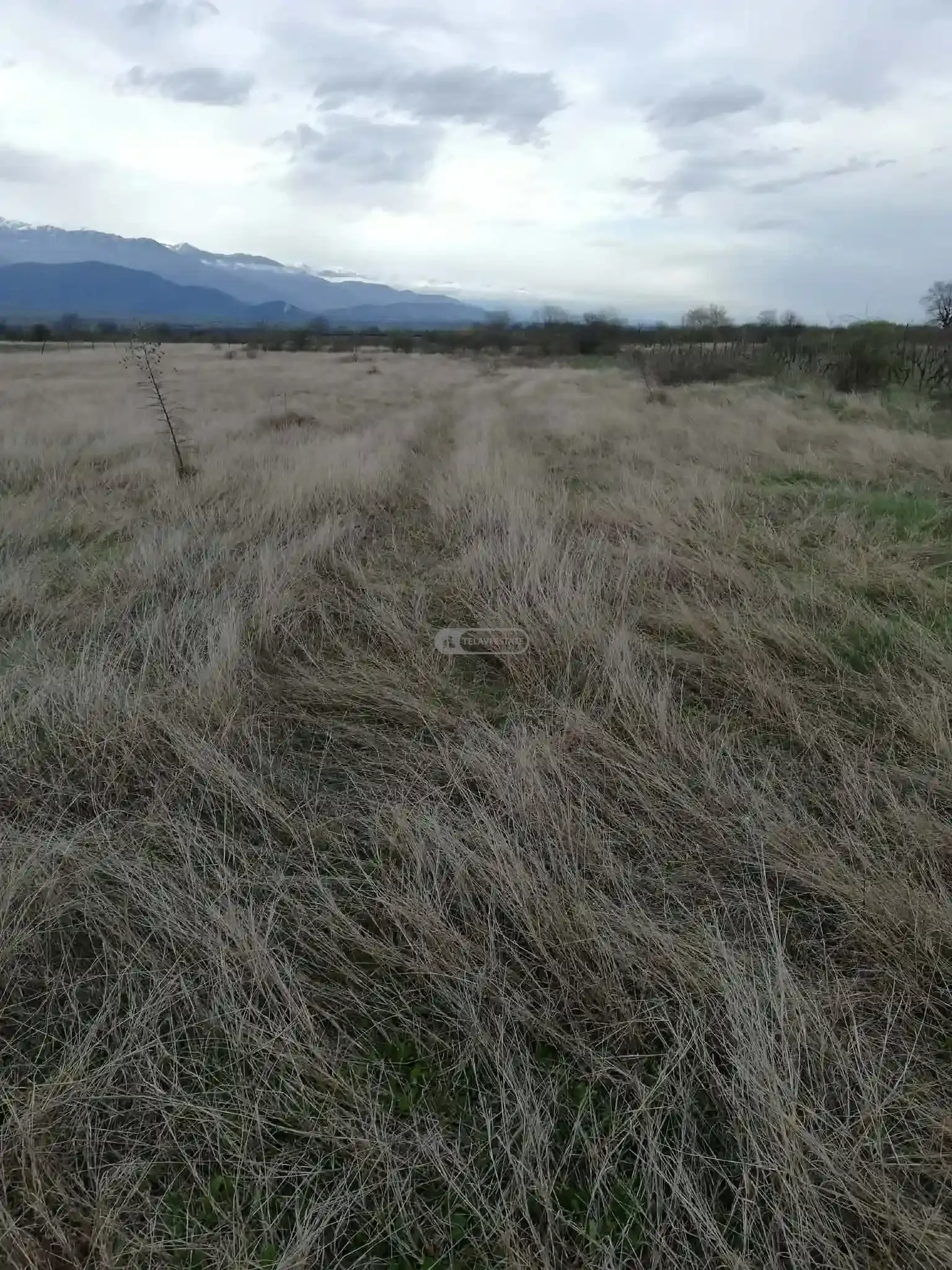 მიწის ნაკვეთი კონდოლში