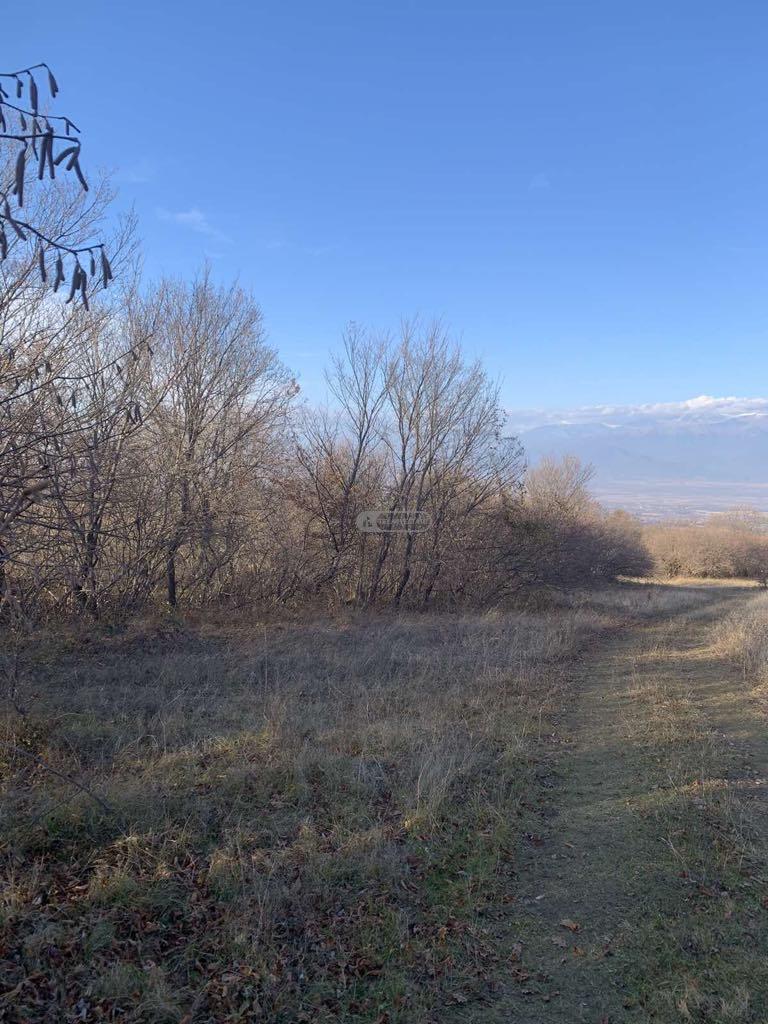 მიწის ნაკვეთი ვარდისუბანში