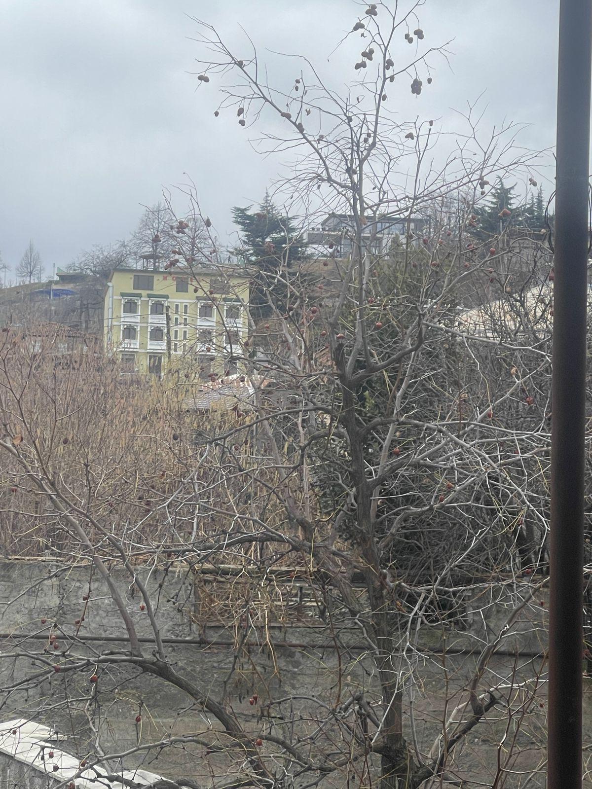 ორსართულიანი სახლი თელავში