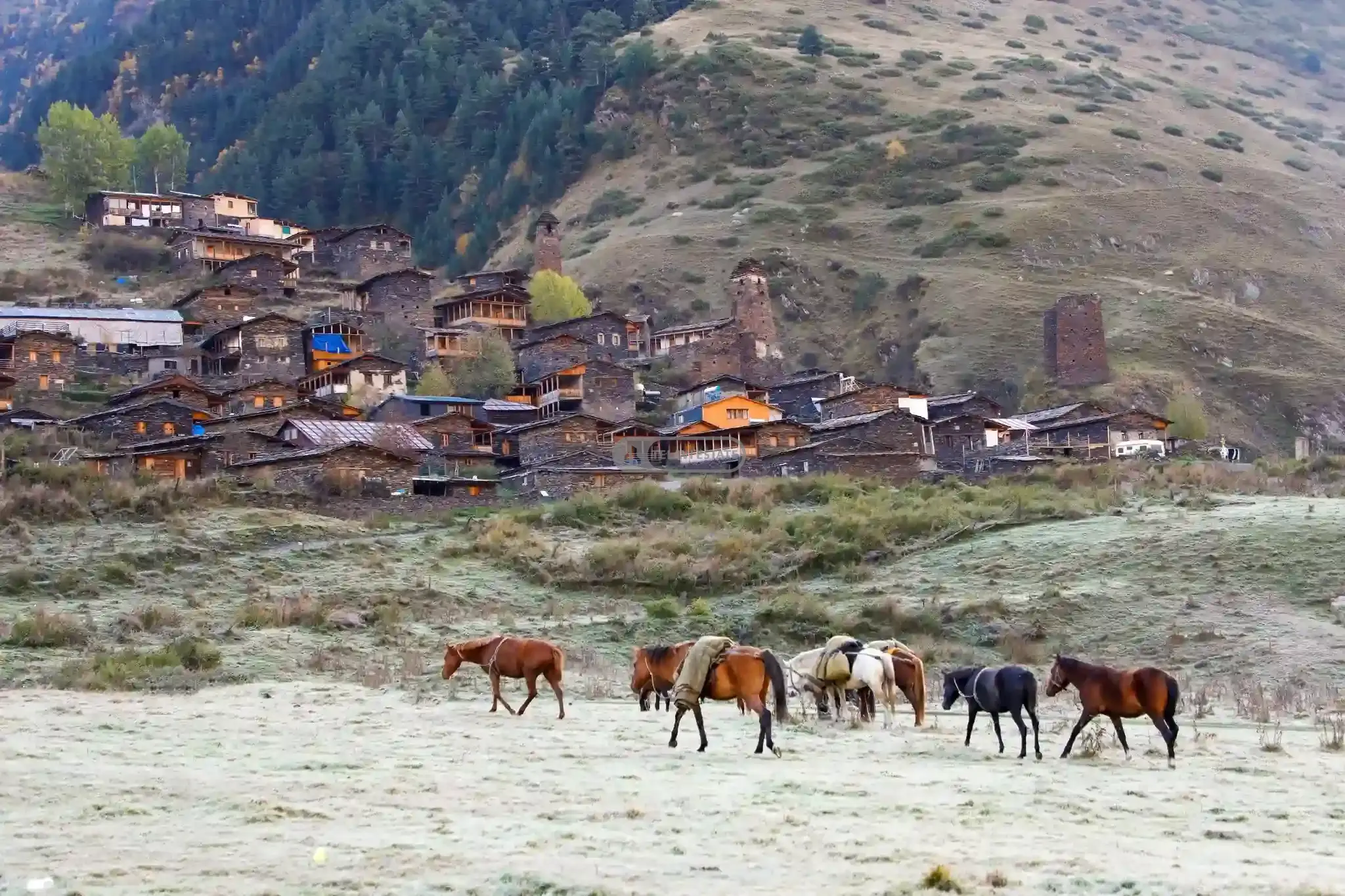 Two-Story House for Sale in Dartlo, Tusheti
