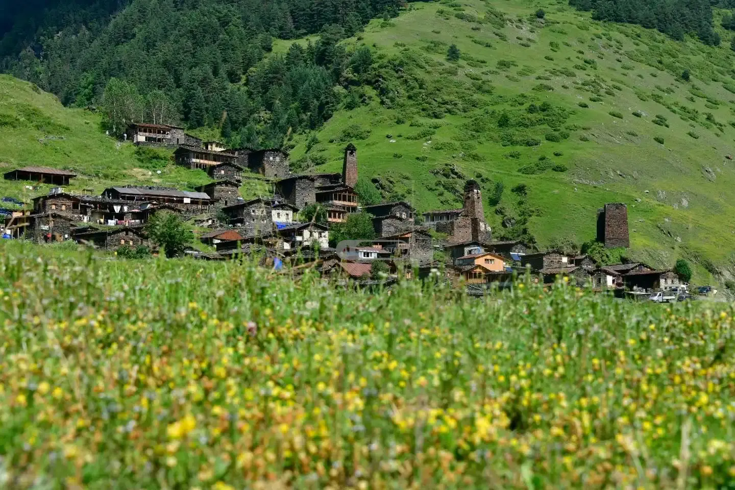 Two-Story House for Sale in Dartlo, Tusheti