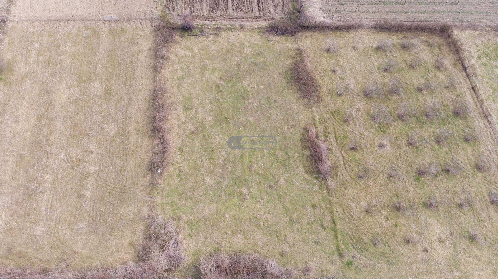 მიწის ნაკვეთი სოფელ გრემში