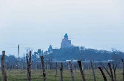 Land Plot in Gremi Village