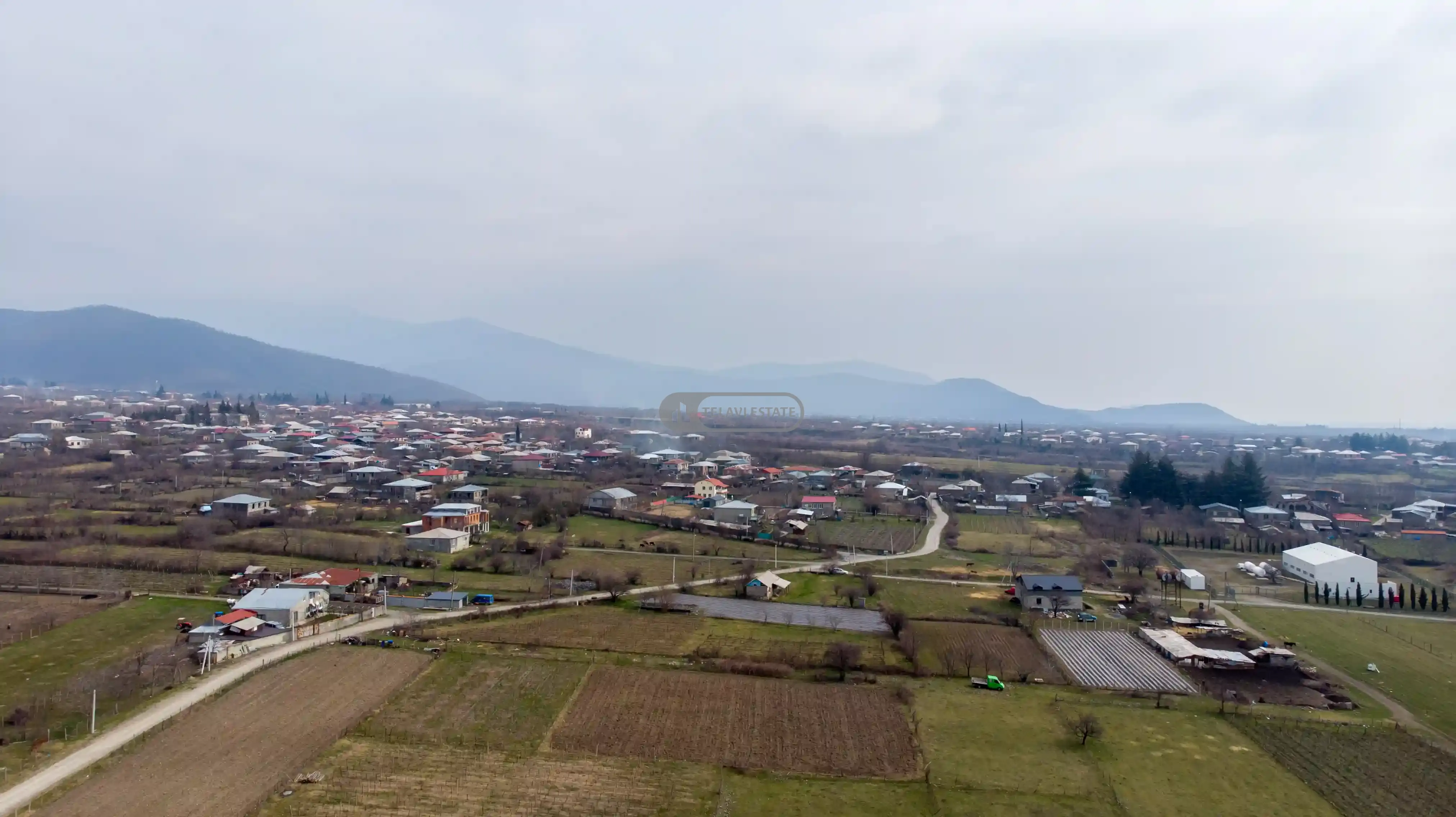 მიწის ნაკვეთი სოფელ გრემში