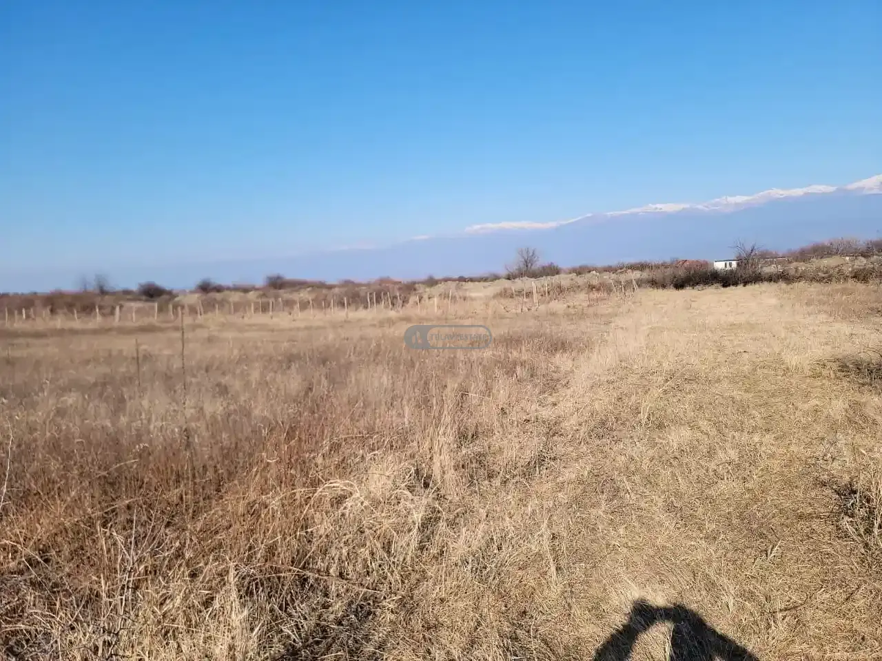 Old Vineyard in Kisiskhevi