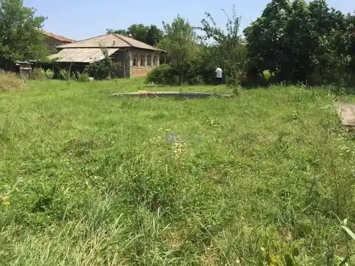 Property with Two Houses in Ikalto