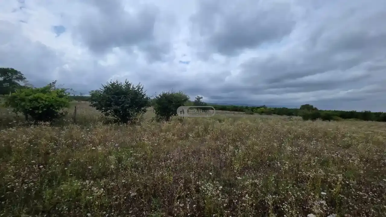 Продается земельный участок в Ксисхеви