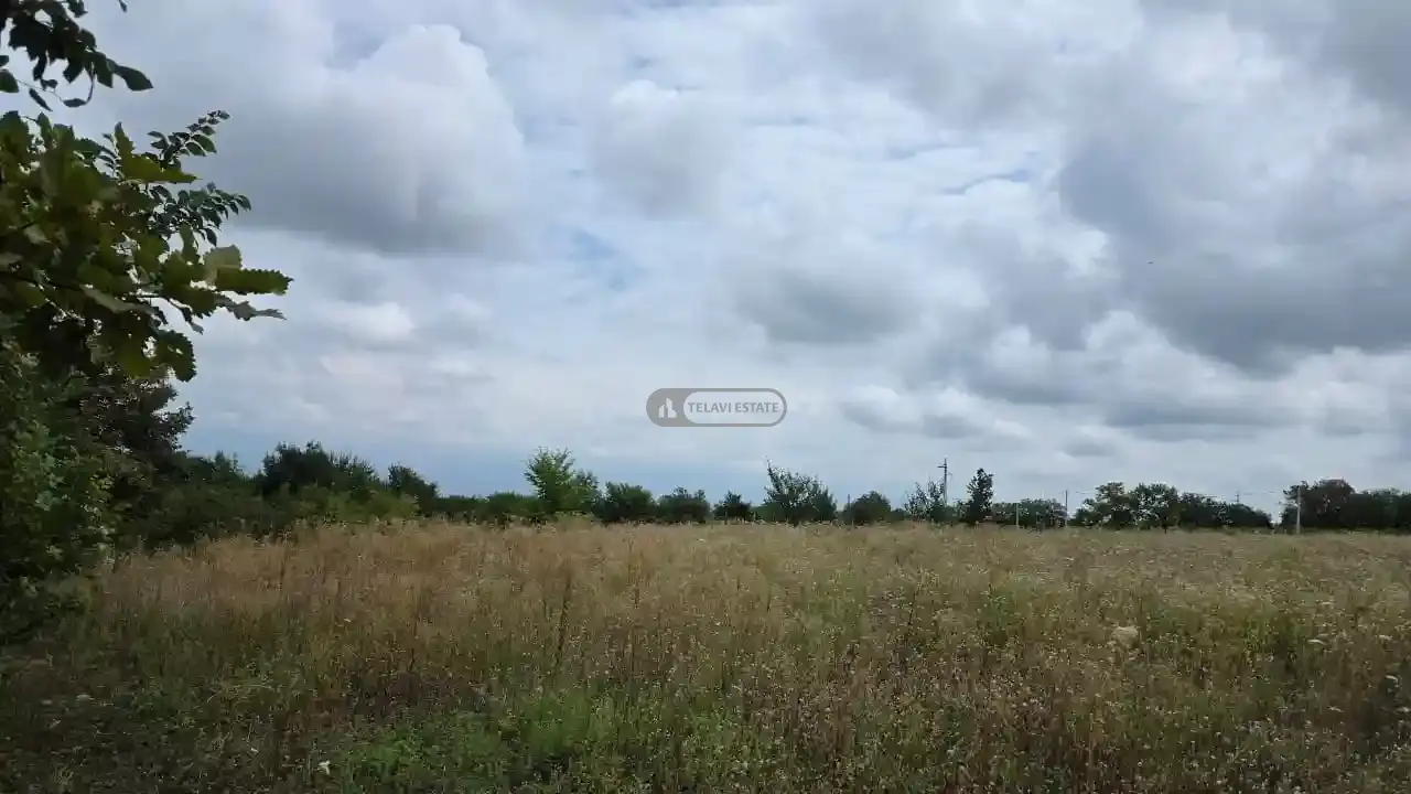 Продается земельный участок в Ксисхеви