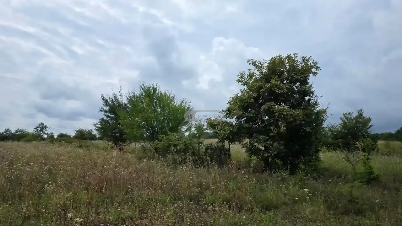 Продается земельный участок в Ксисхеви