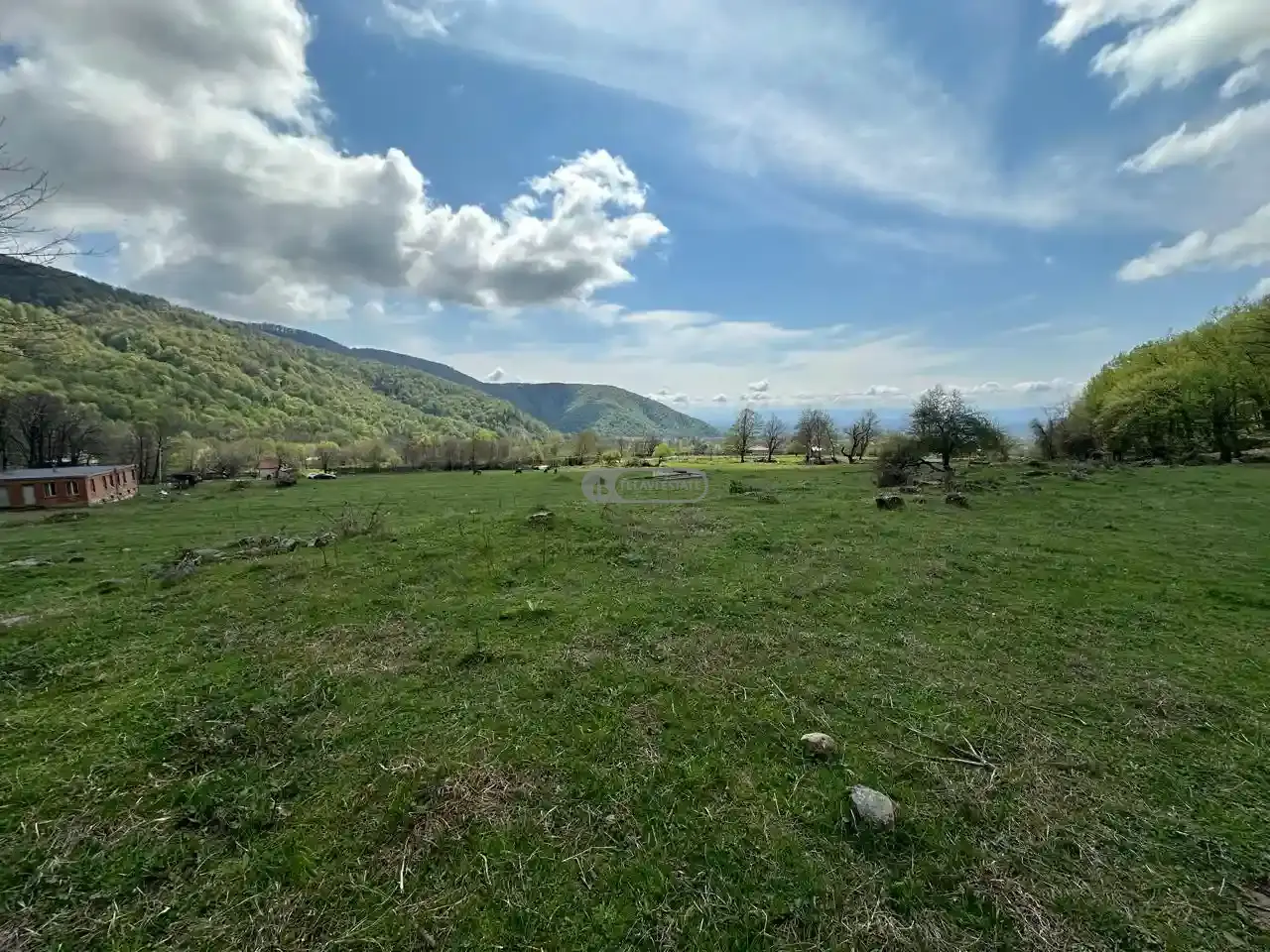 Земельный участок рядом с заповедником Лагодехи