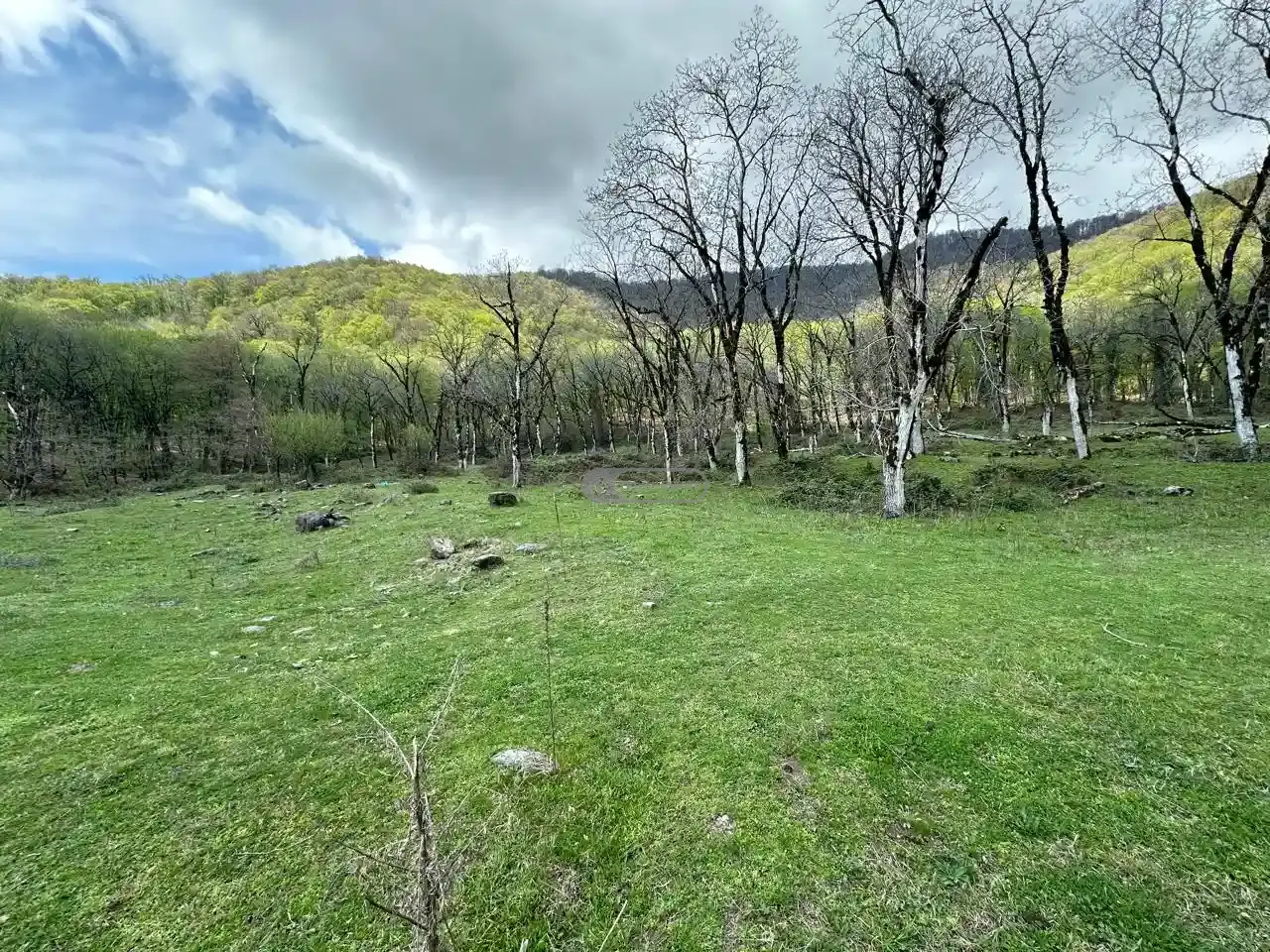 Земельный участок рядом с заповедником Лагодехи