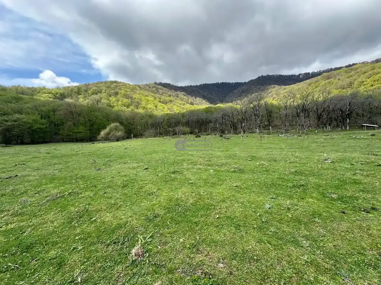 Земельный участок рядом с заповедником Лагодехи