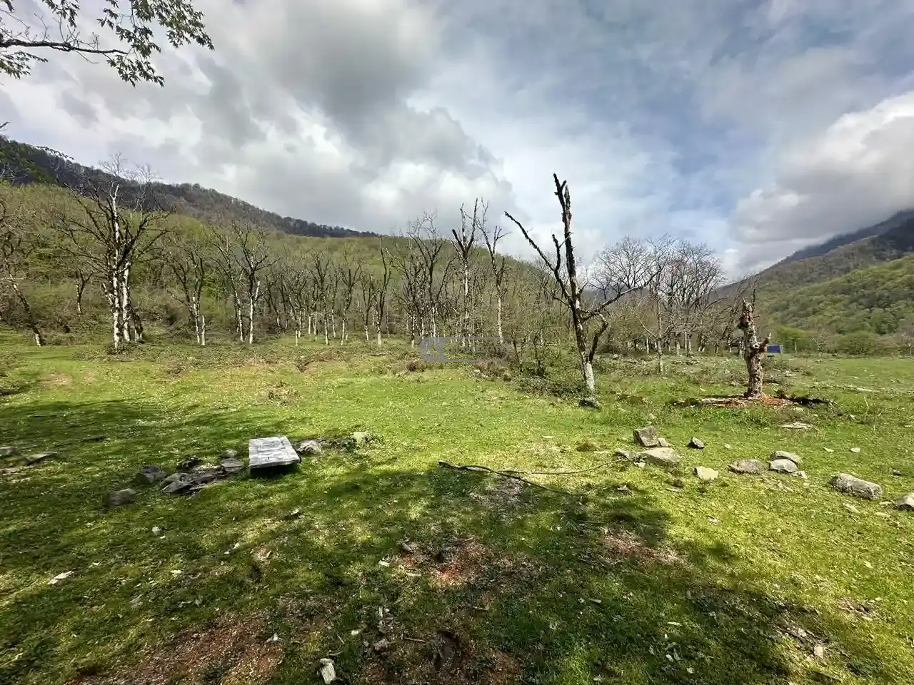 Земельный участок рядом с заповедником Лагодехи