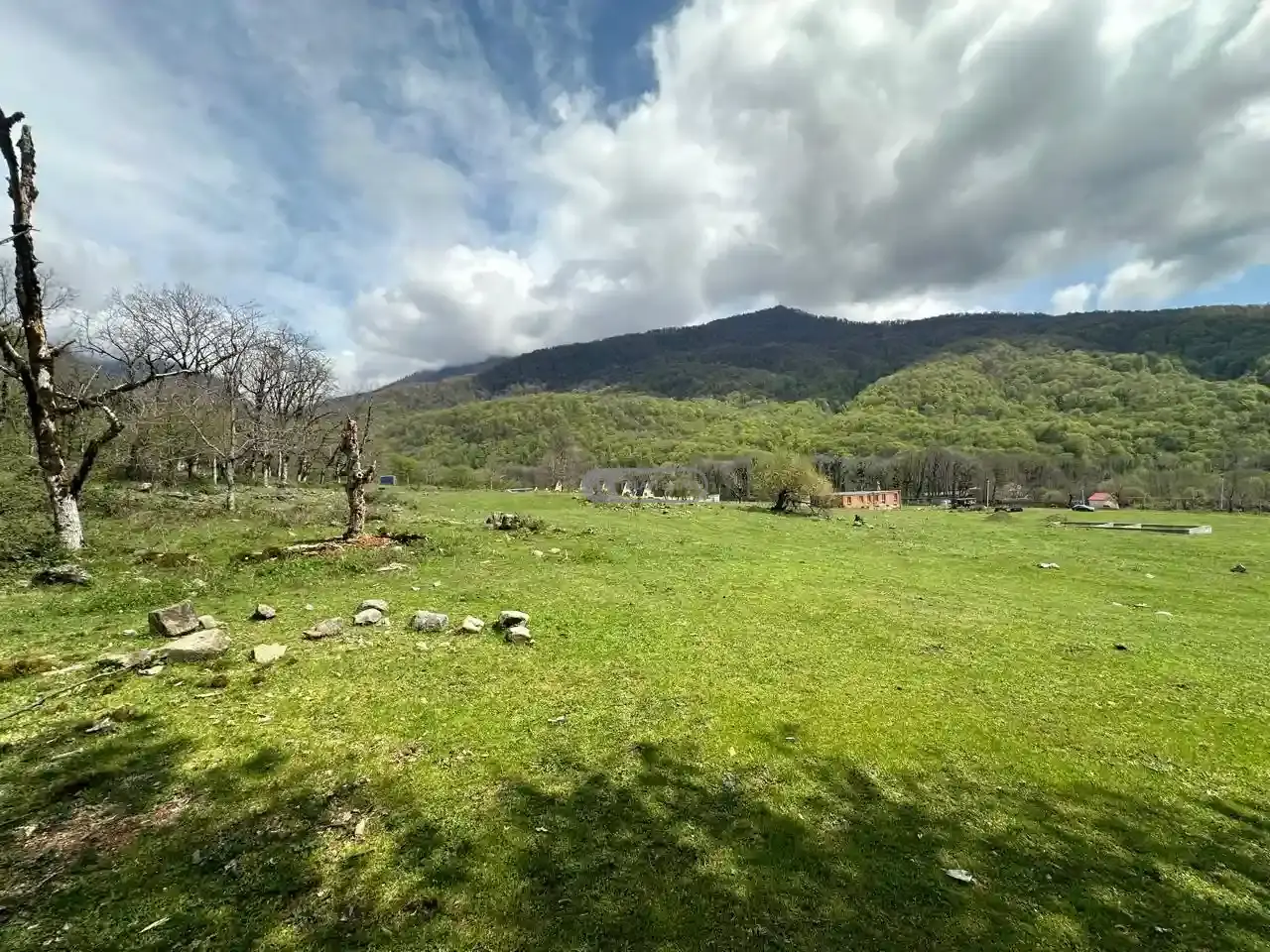 Земельный участок рядом с заповедником Лагодехи