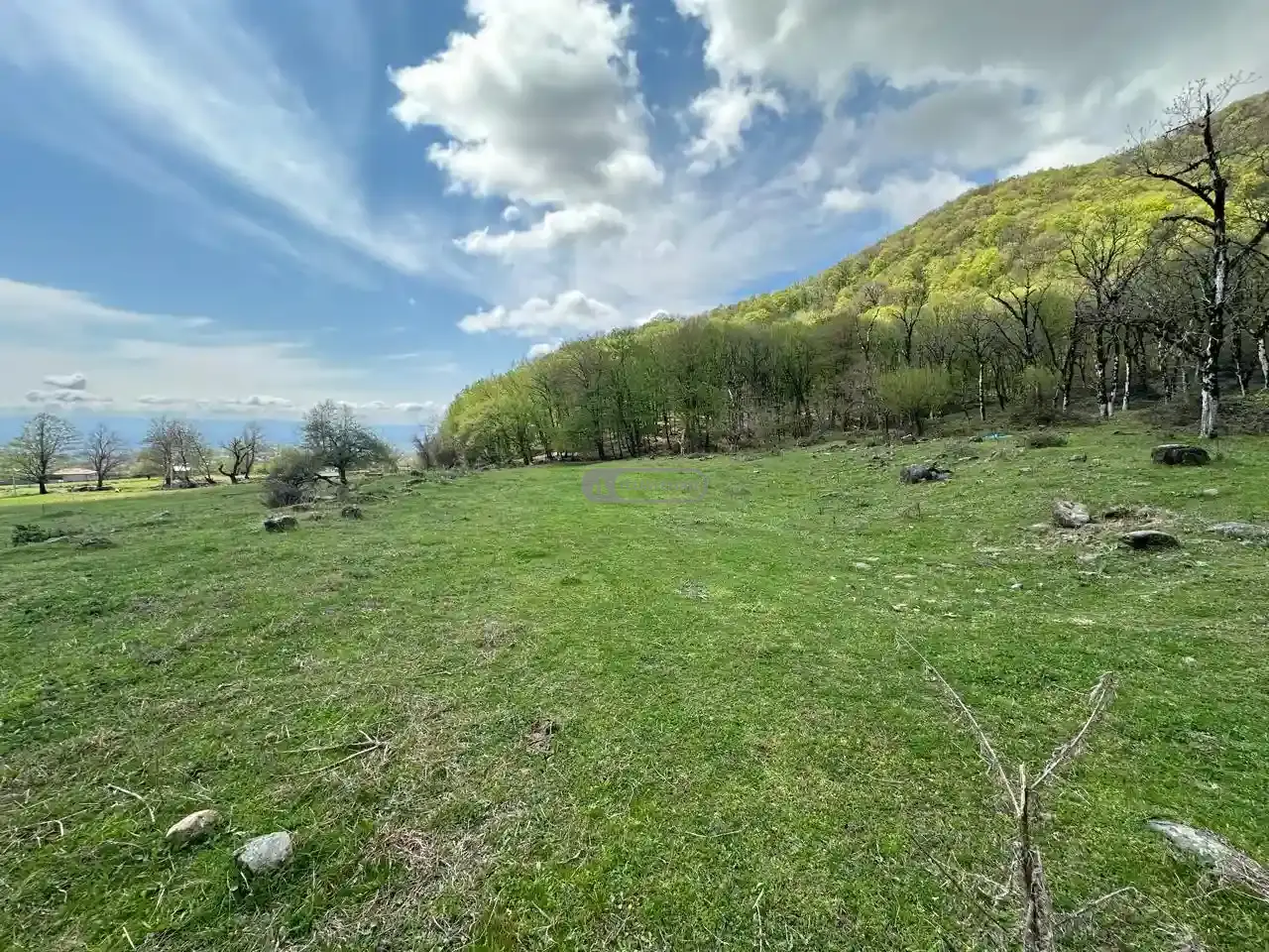 Земельный участок рядом с заповедником Лагодехи