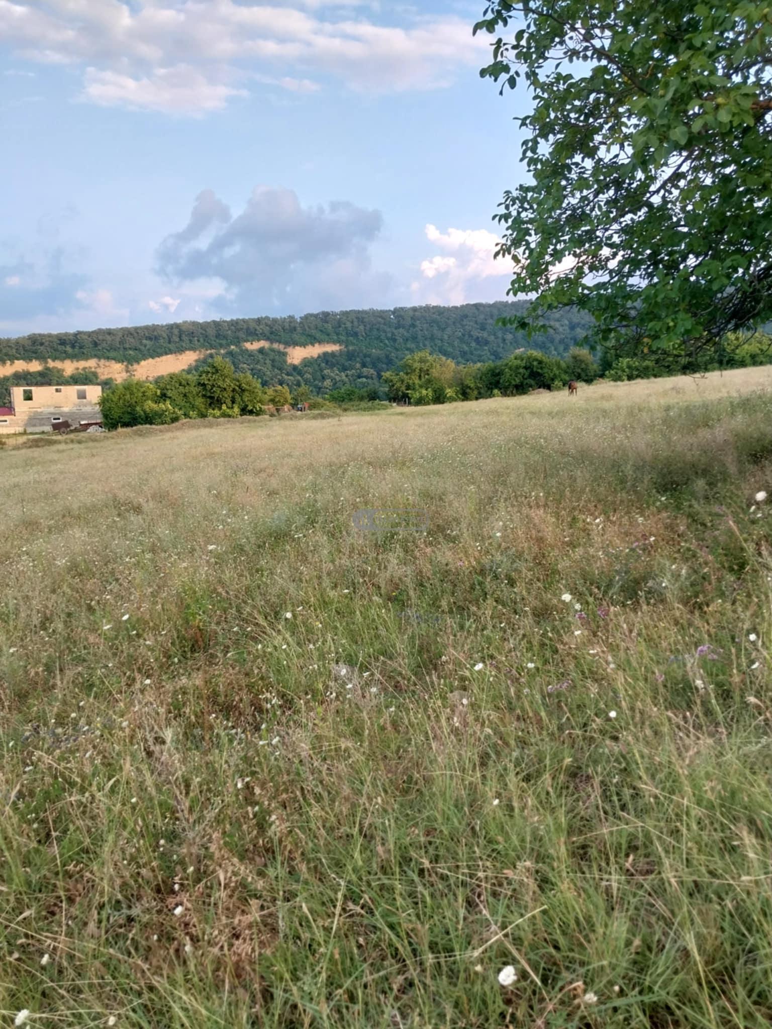 მიწის ნაკვეთი კისისხევში