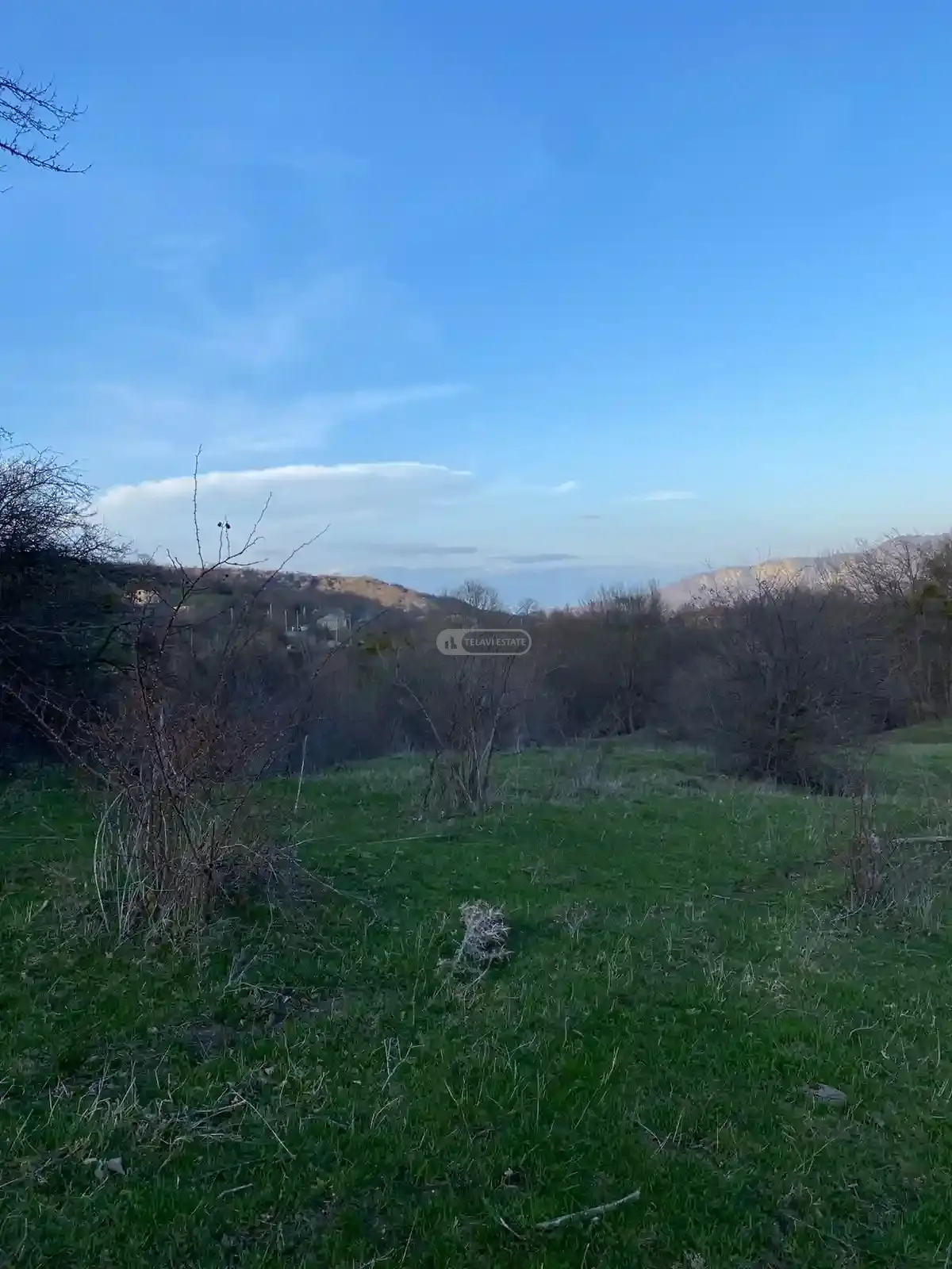 მიწის ნაკვეთი თეთრიწყლებში