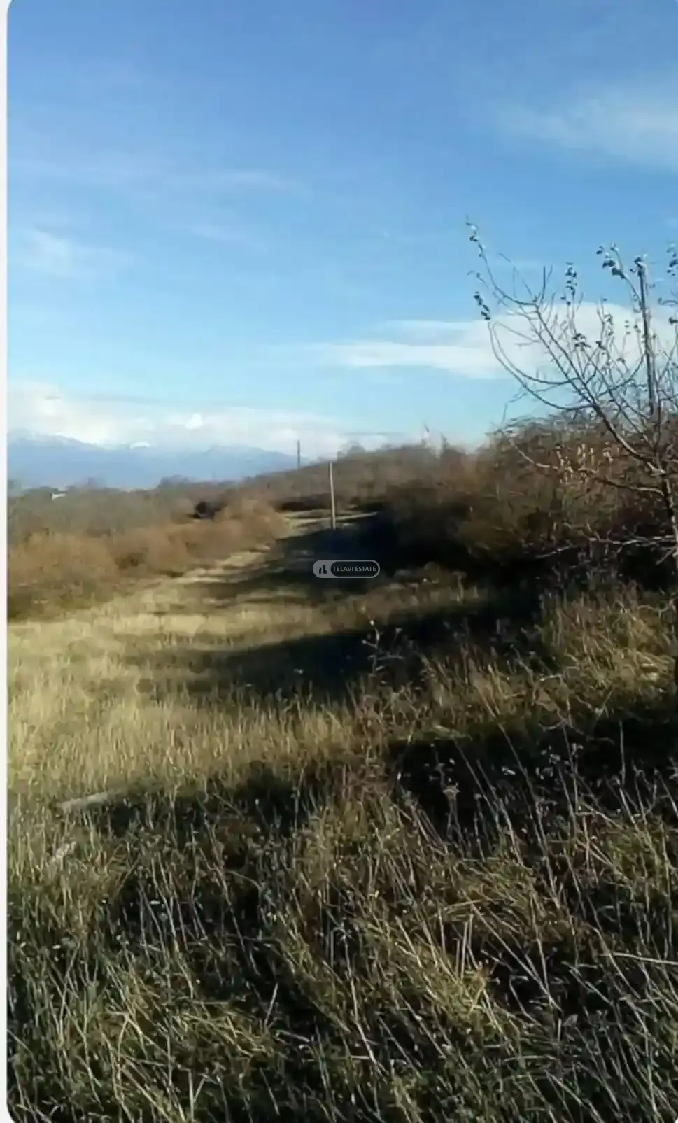 Коммерческий земельный участок в Вардисубани