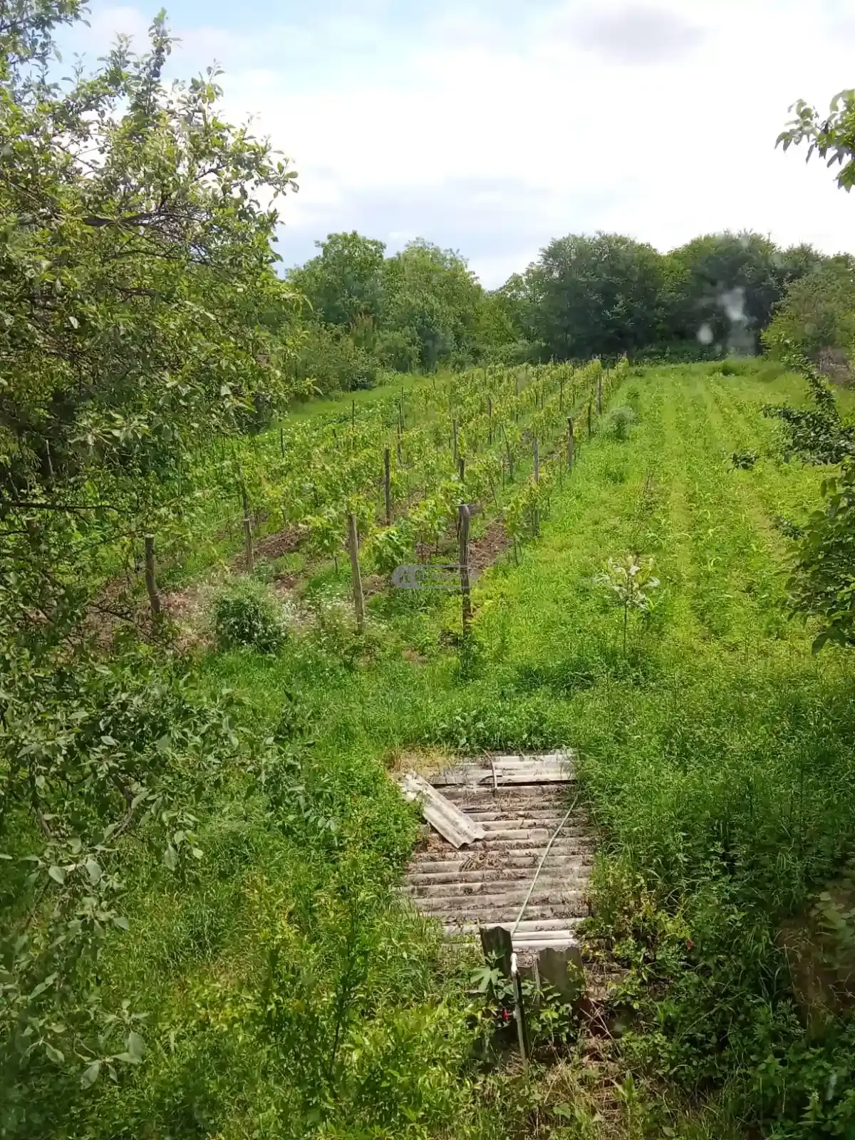 Two-Story House for Sale – Telavi, Nasamkhrali