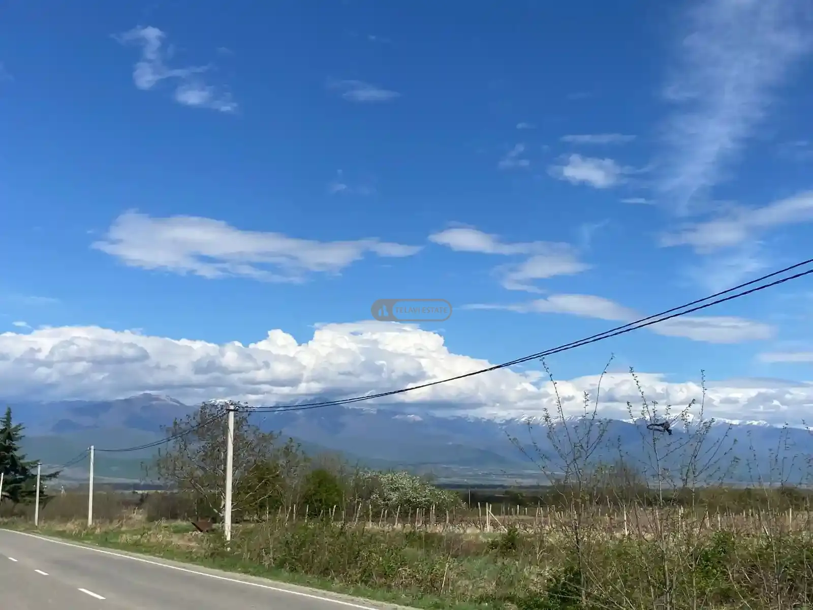 კომერციული მიწის ნაკვეთი კურდღელაურში