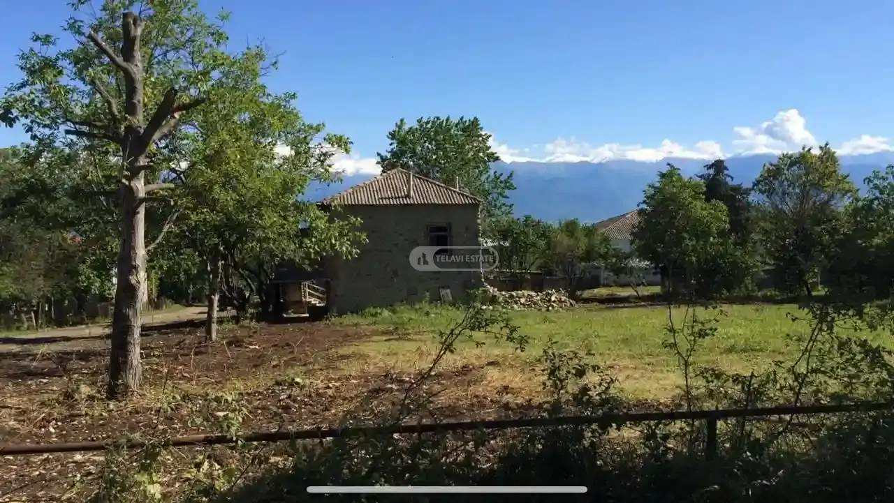 Residential Land for Sale in Ikalto