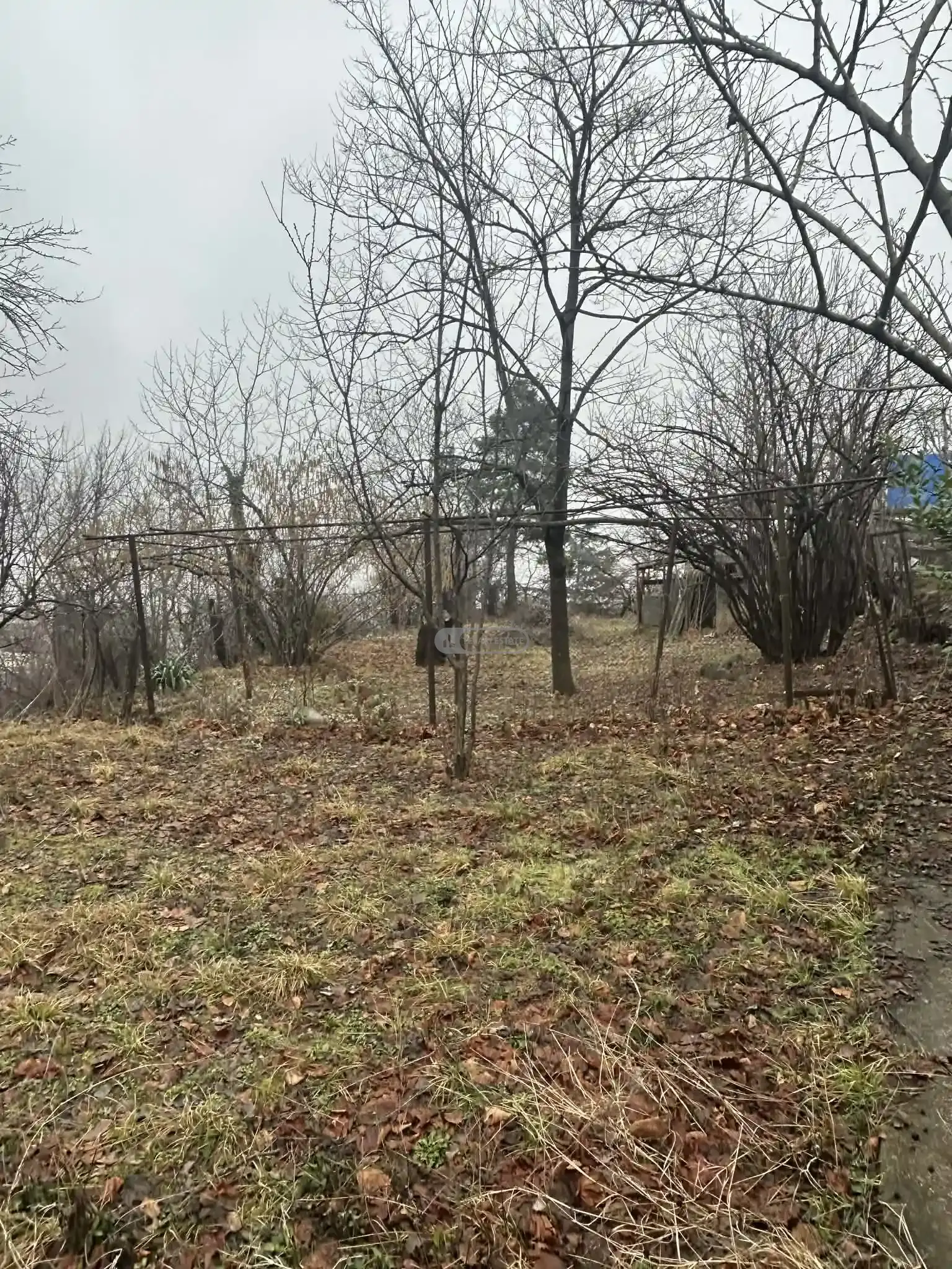 ძველი სახლი დიდი ეზოთი, თელავში