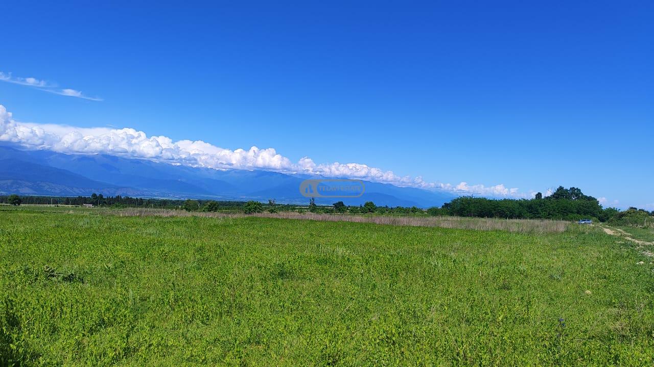 Продается земельный участок в Насамхрали