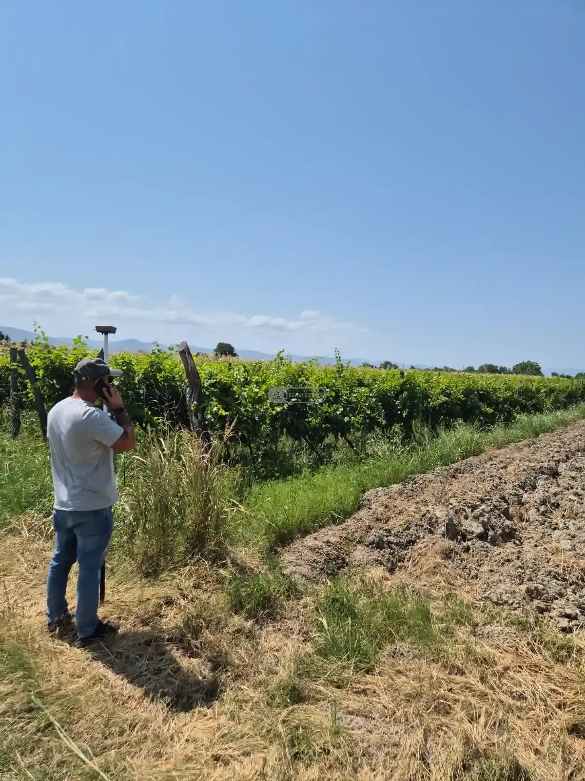 მიწის ნაკვეთი კოღოთოში